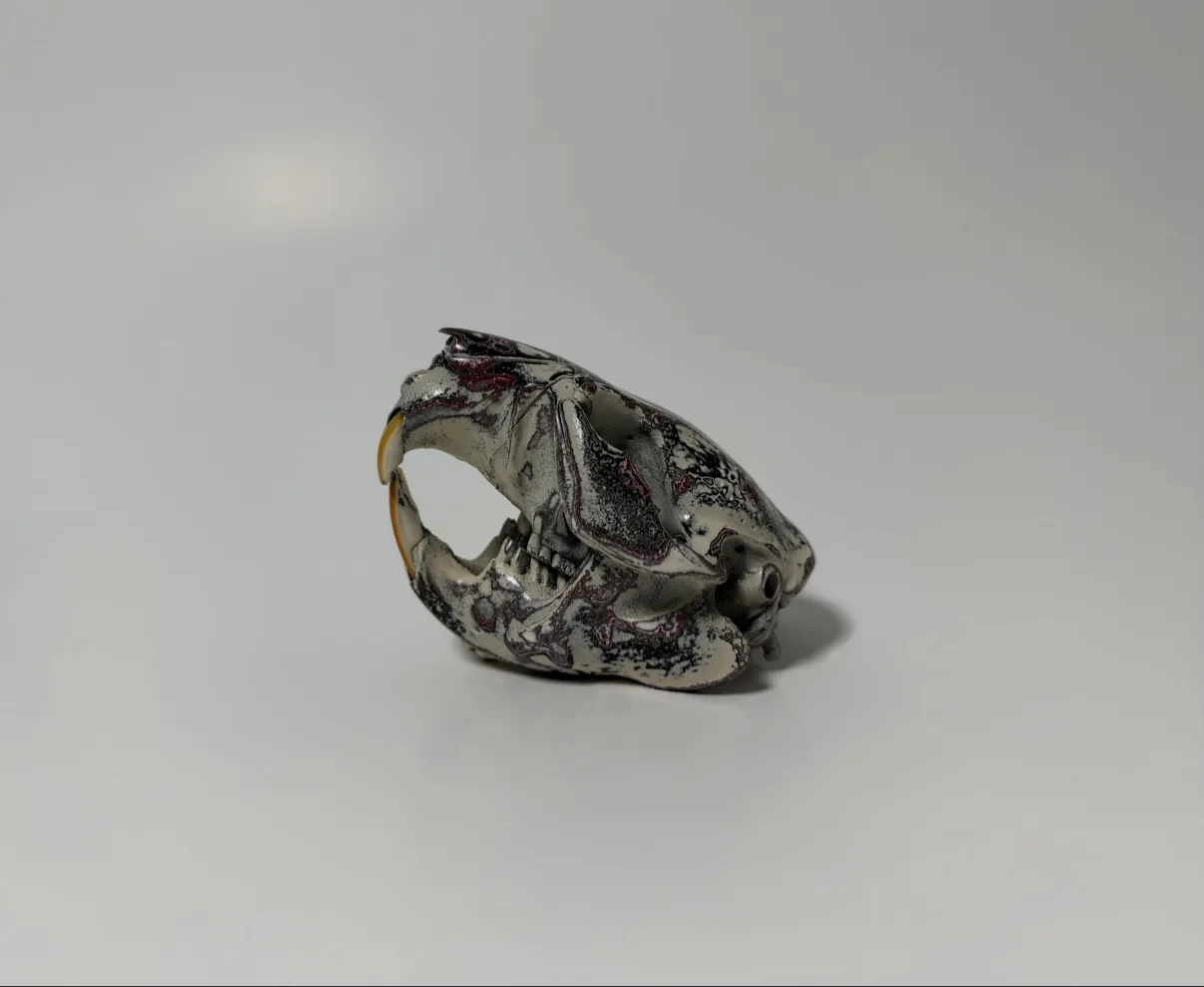 Photograph of my hand-painted beaver skull from a three-quarter angle on the other side, cream base with burgundy and black fordite marbling