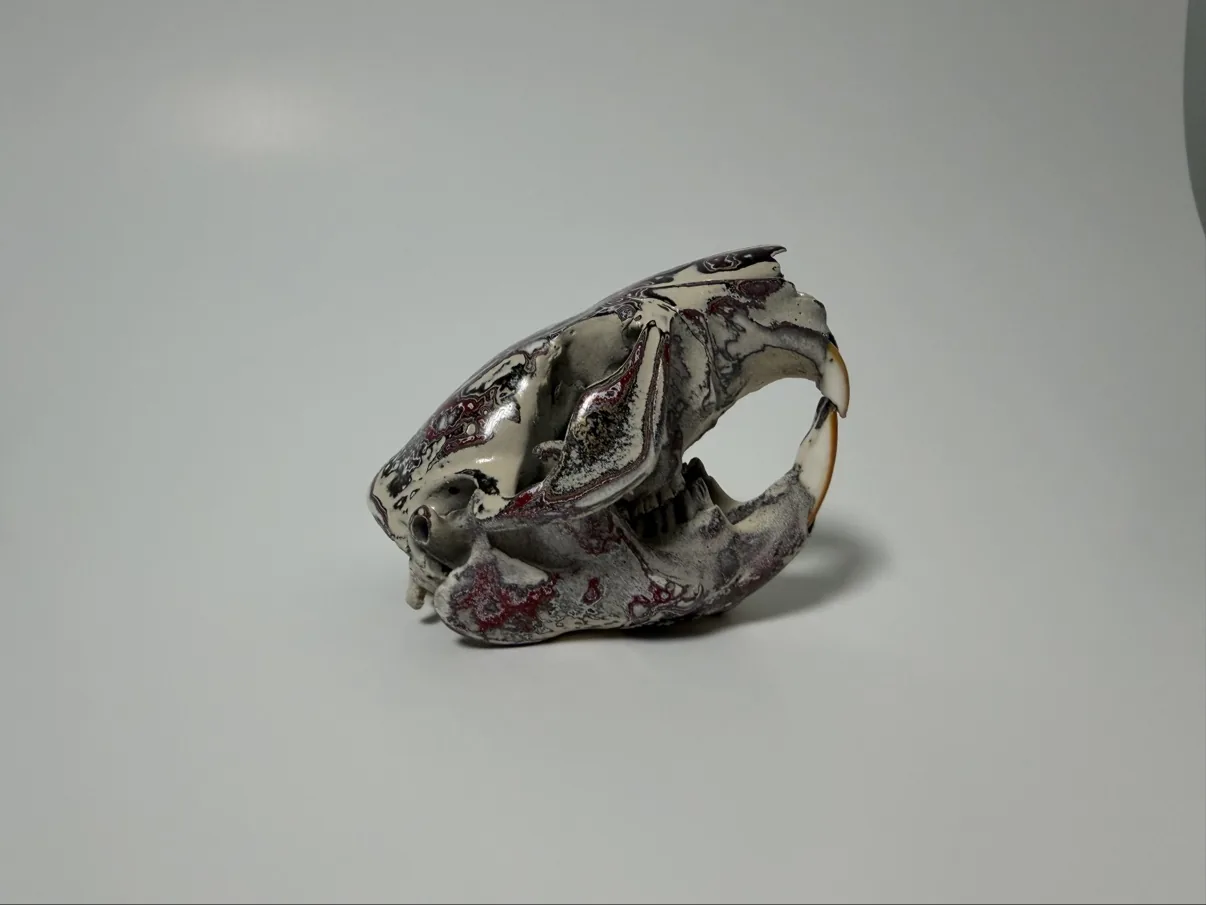 Photograph of my hand-painted beaver skull from the back, showing the burgundy and black fordite patterning across the rear of the skull