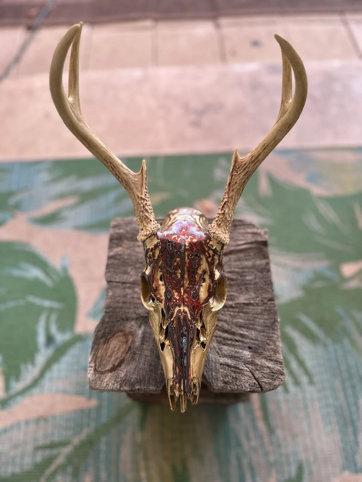 Photograph of my golden deer skull on a weathered wooden post, gold and deep red layered fordite finish with gold toned antlers