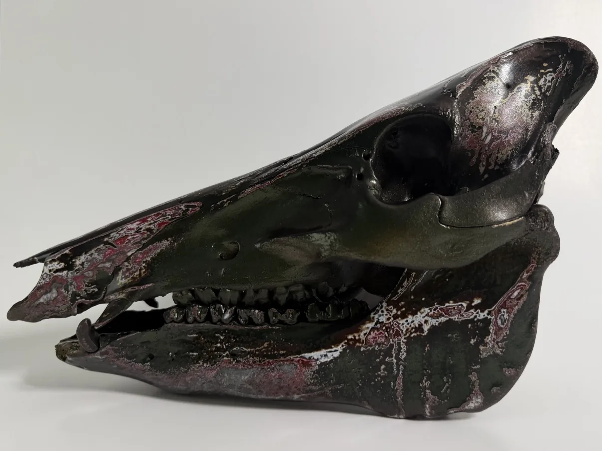 Photograph of my hand-painted feral hog skull from the other side, dark green and black finish with burgundy fordite marbling