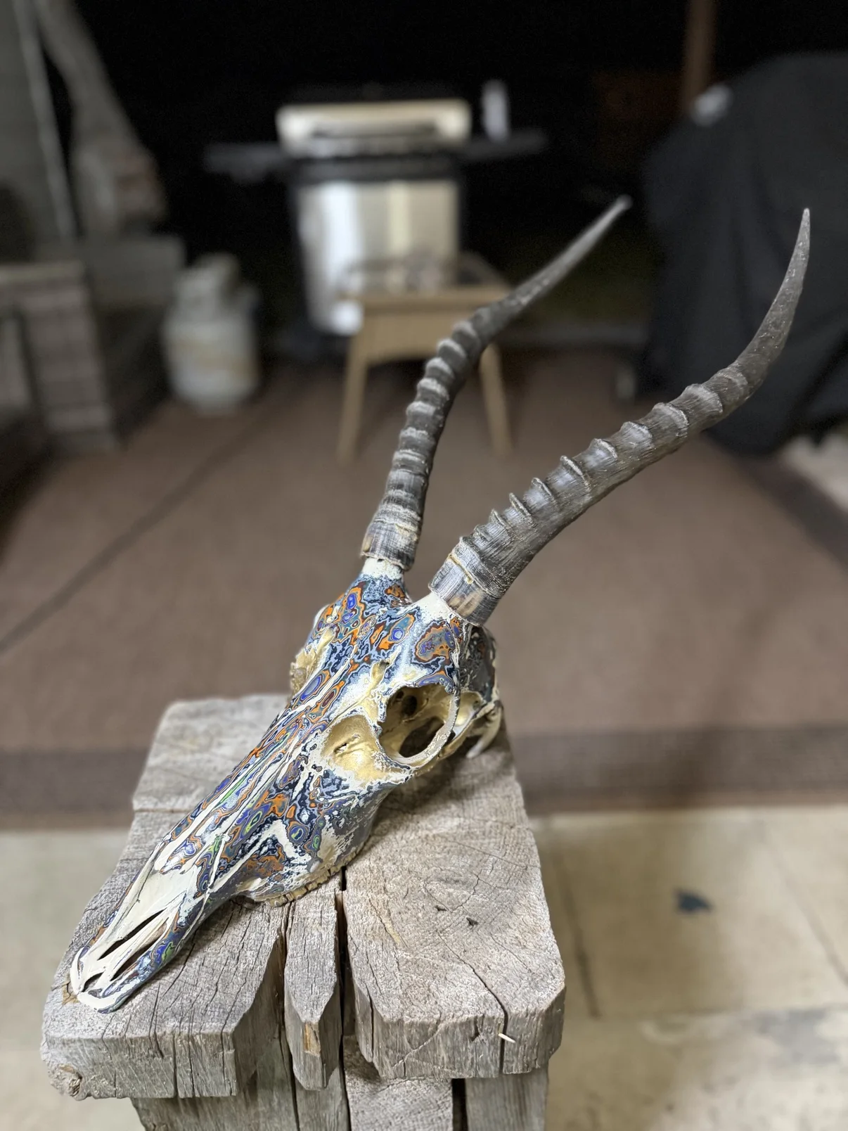 Photograph of my hand-painted antelope skull from an angled view on a wooden post, bright multicolor fordite finish with gold accents and long ringed horns