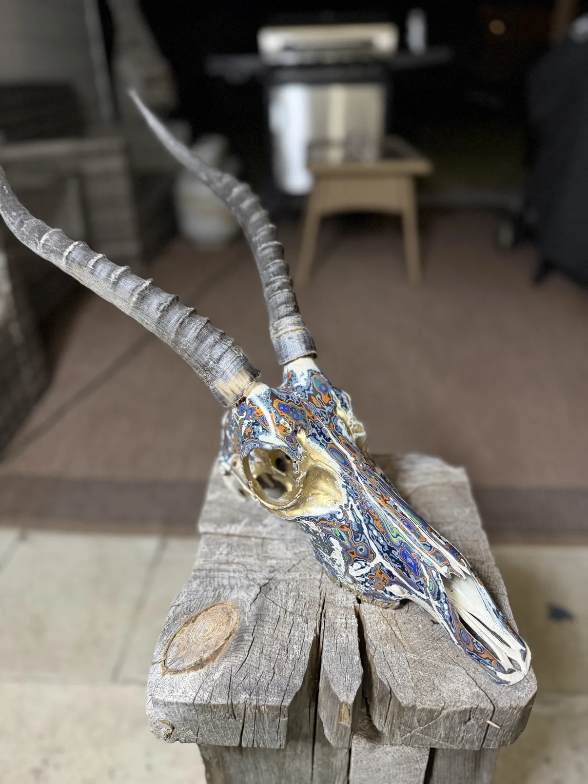 Photograph of my hand-painted antelope skull from the side on a wooden post, showing the gold inside the eye socket and the multicolor fordite finish running down the snout