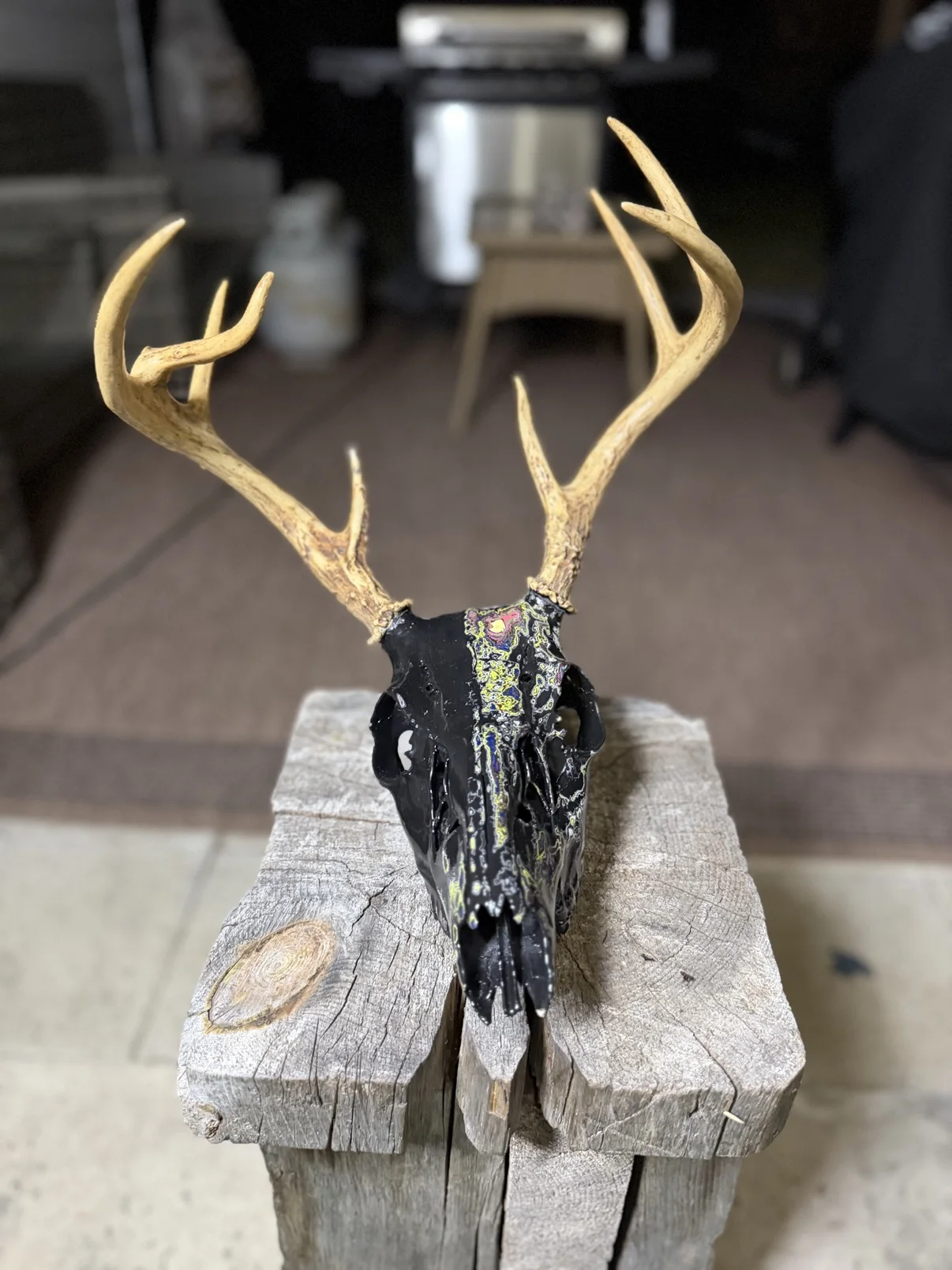 Photograph of my hand-painted deer skull from the front on a wooden post, glossy black finish with multicolor fordite accents down the center and natural honey colored antlers