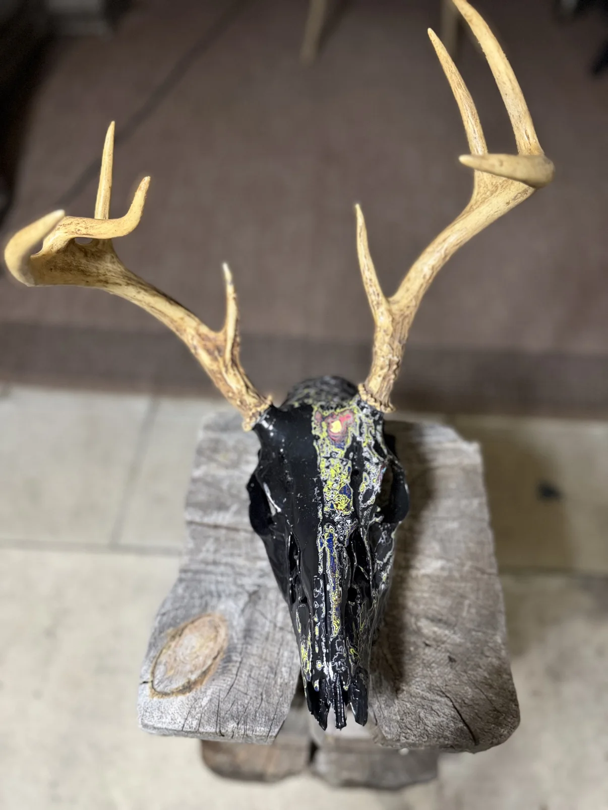 Photograph of my hand-painted deer skull from above on a wooden post, showing the yellow, green and multicolor fordite stripe down the center of the glossy black skull