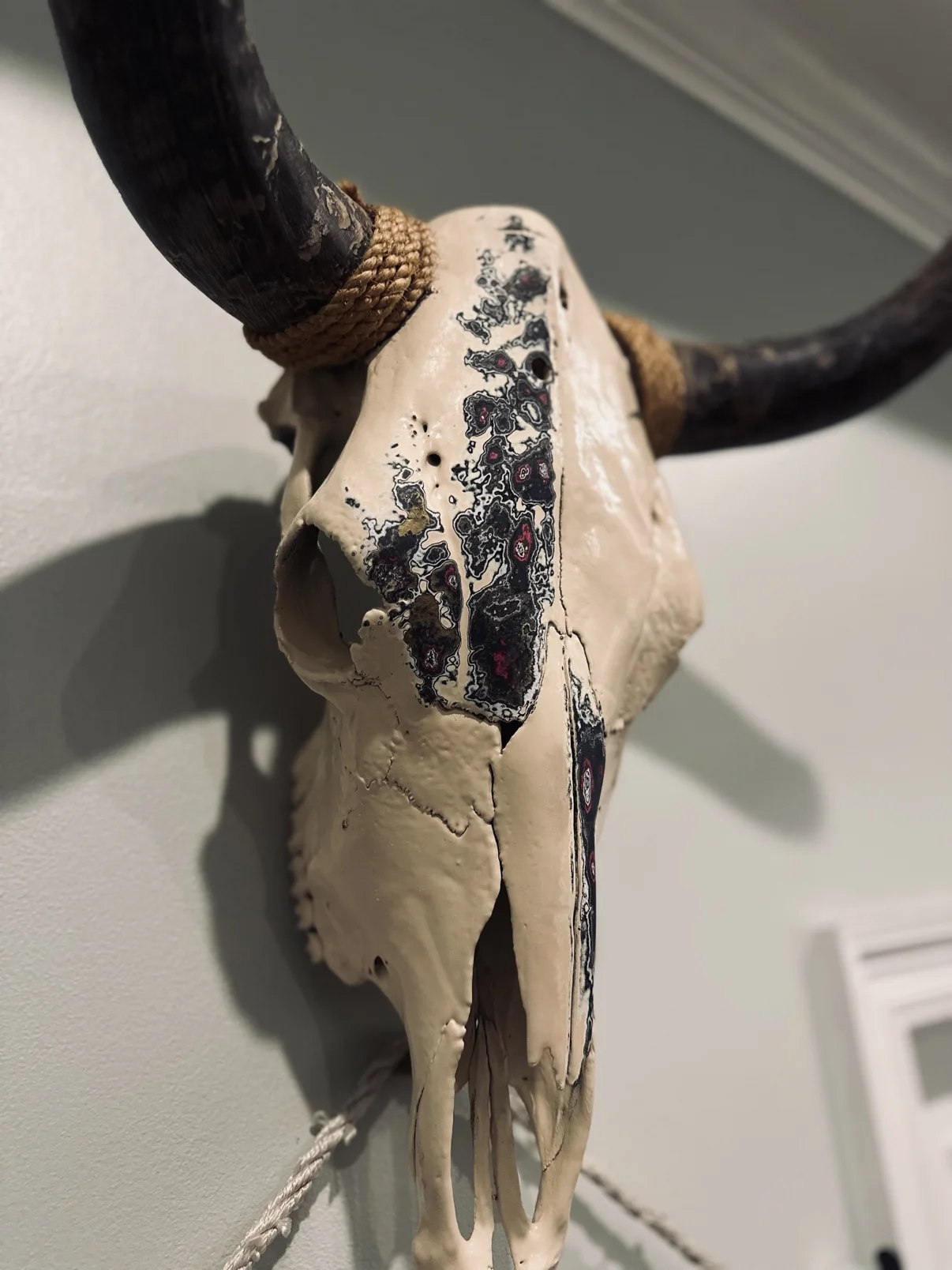 Photograph of my hand-painted cow skull from an angled view on a wall, showing the black and red fordite stripe down the cream forehead and the rope wrapped dark horns