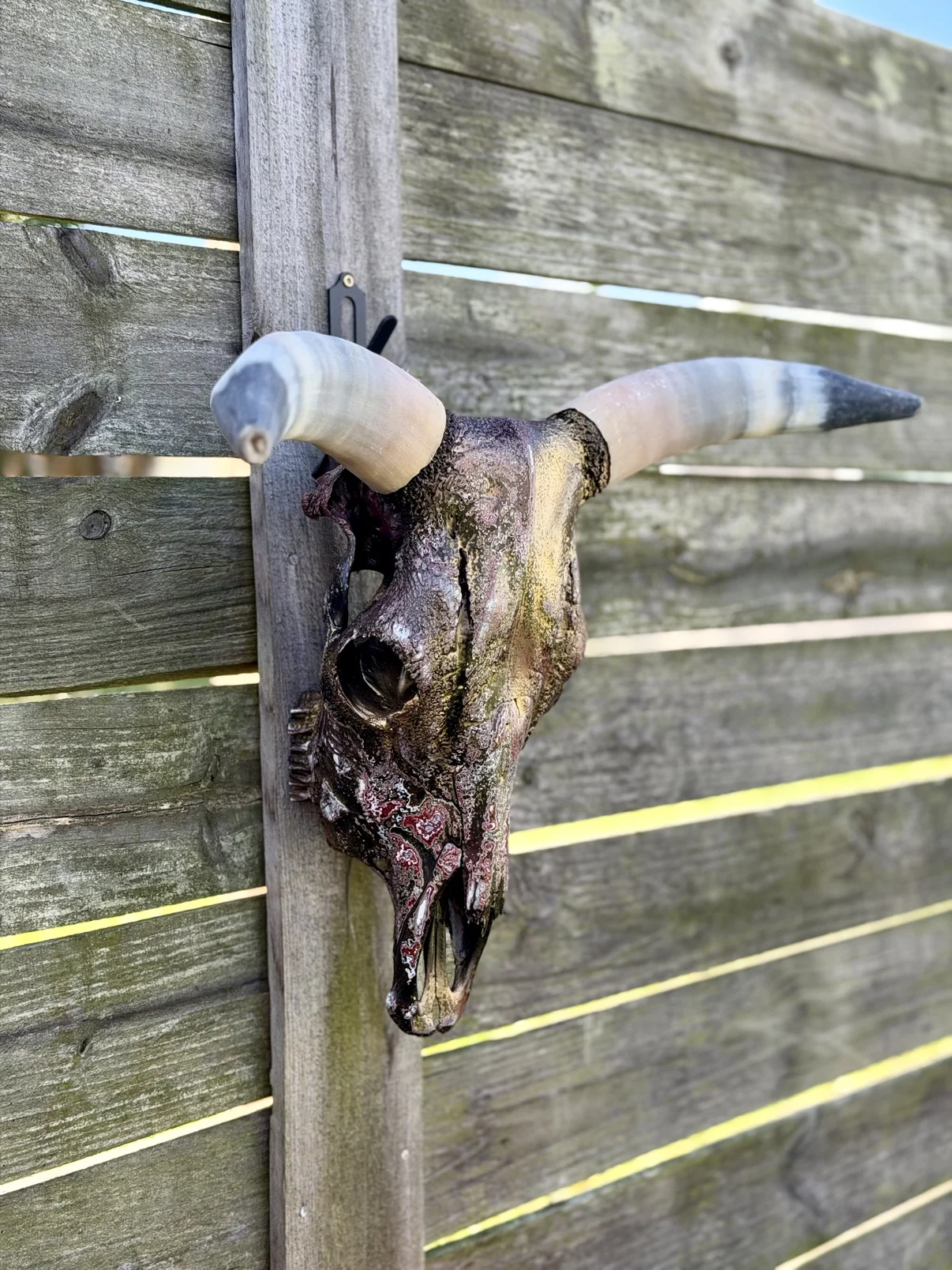Photograph of my hand-painted cow skull from an angled view on a fence, dark textured bronze, gold, red and black finish with short curved horns, pale with black tips