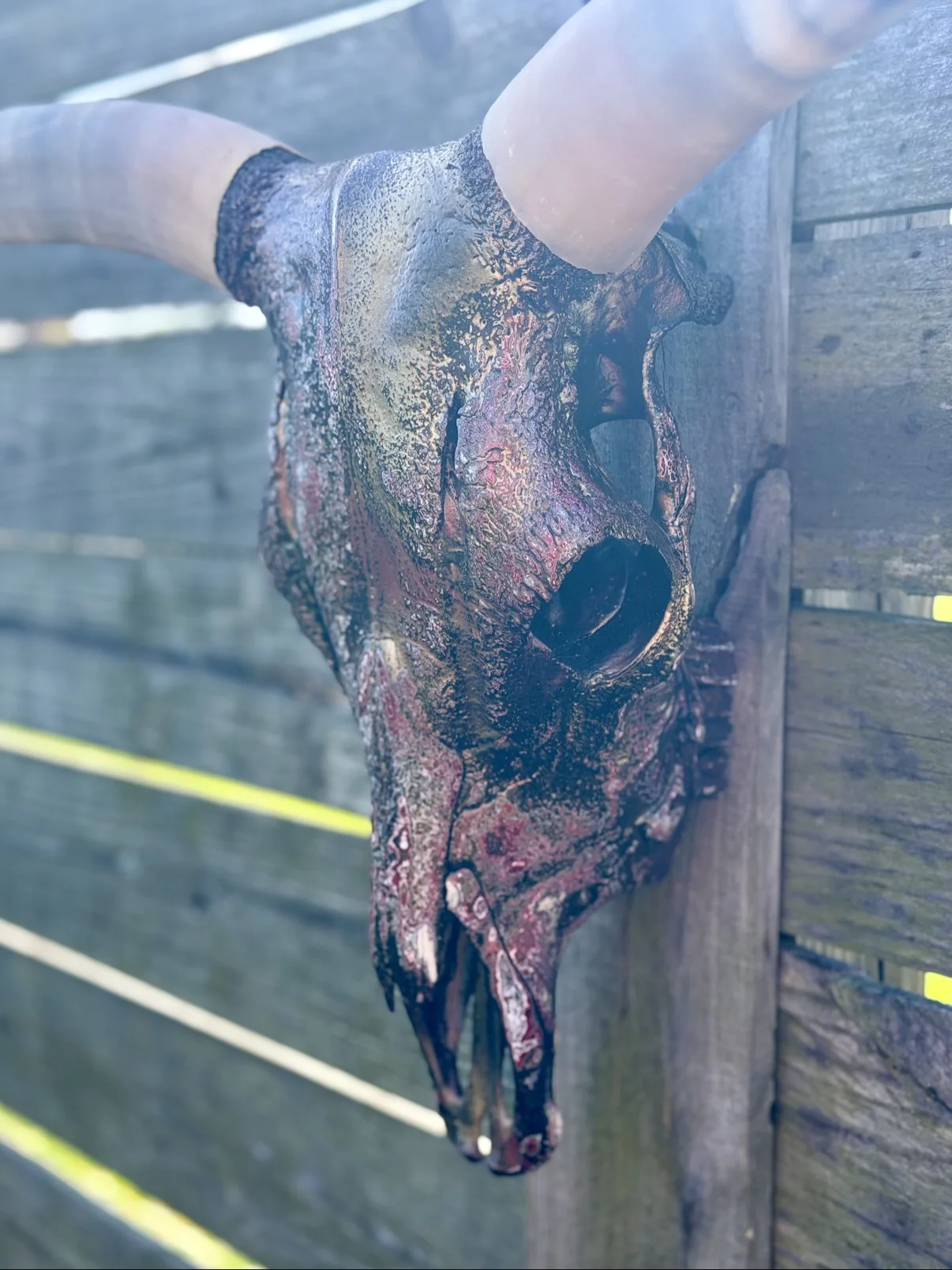 Photograph of my hand-painted cow skull from the side on a fence, showing the profile of the dark bronze and red textured finish and the pale horn