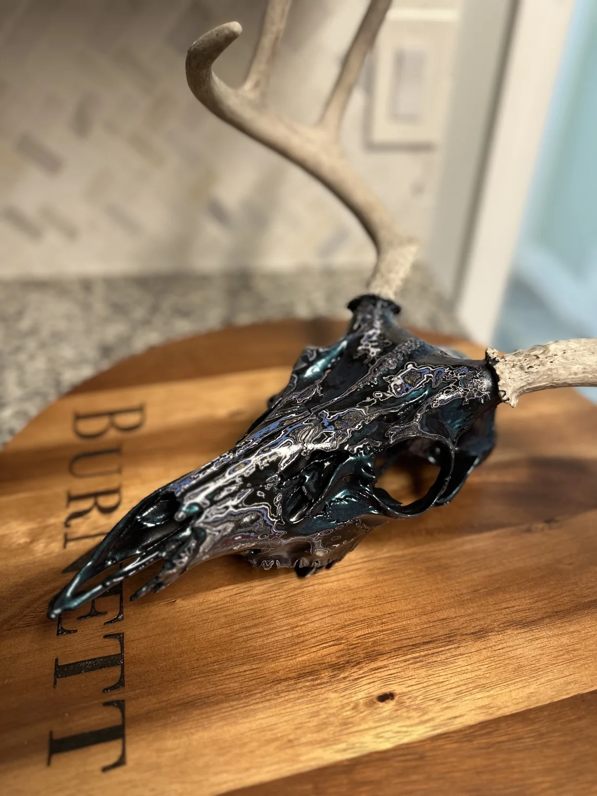 Photograph of my hand-painted whitetail deer skull from the side on a round wooden board, showing the profile of the black marbled skull and the natural antlers