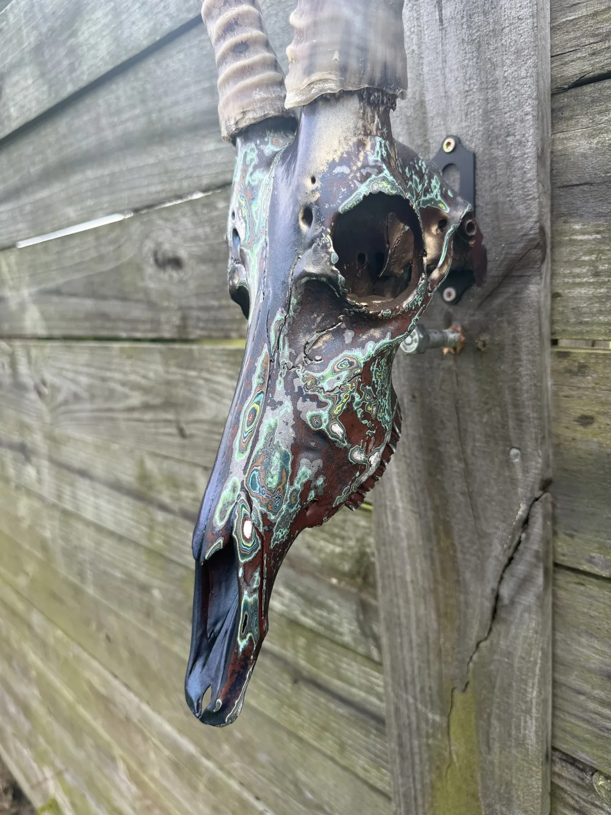 Close-up photograph of the side of my hand-painted springbok skull, showing mint-green patina swirls over dark copper paint and the gold inside the eye socket