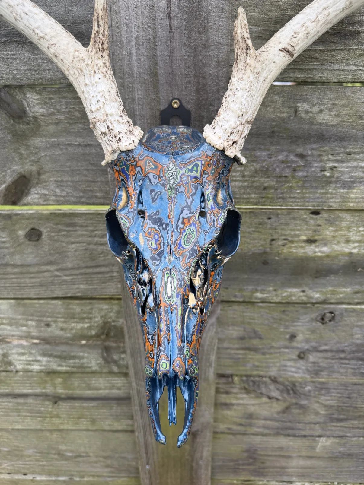 Close-up photograph of the front of the blue fordite whitetail deer skull, showing the blue layered fordite finish with orange, copper and green swirls between the antler bases
