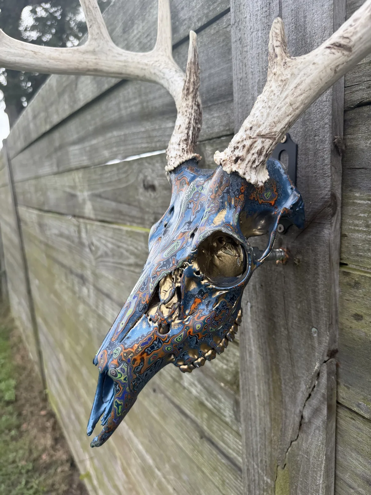 Close-up photograph of the other side of the blue fordite whitetail deer skull in profile against a wooden fence, showing the eye socket and the swirled blue fordite finish