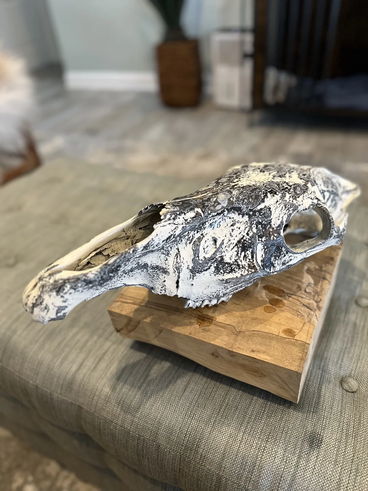 Photograph of my hand-painted Burchell's zebra skull from the side on a wooden block, showing the long profile of the cream, black and gray fordite skull